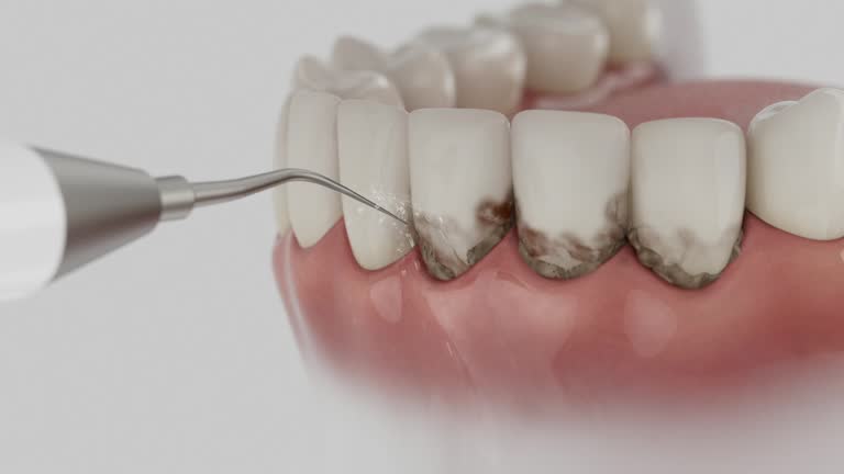 Reliable Dental contractor in Menominee County County, MI by Dentist Open Now